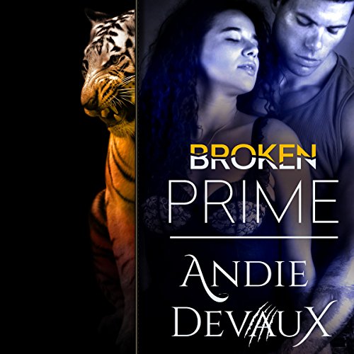 Cover of Broken Prime