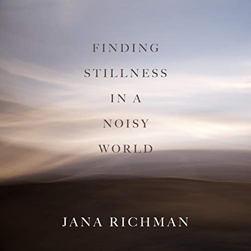 Cover of Finding Stillness in a Noisy World