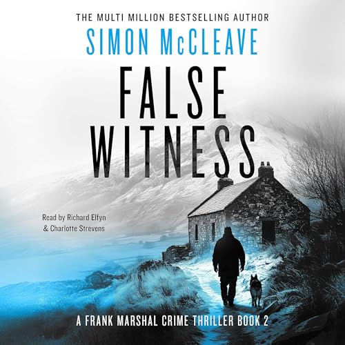 Cover of False Witness