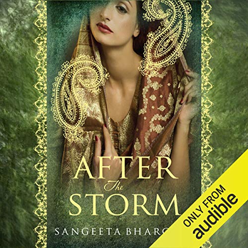 Cover of After the Storm