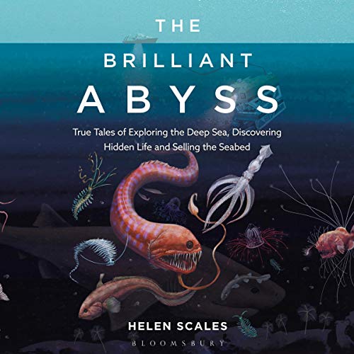 Cover of The Brilliant Abyss
