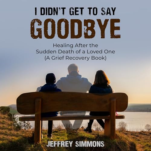 Cover of I Didn’t Get to Say Goodbye