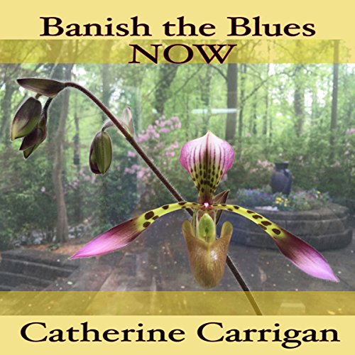 Cover of Banish the Blues Now