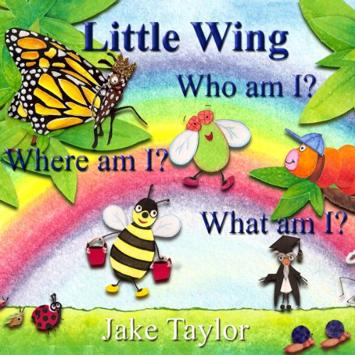 Cover of Little Wing