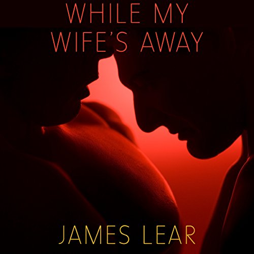 Cover of While My Wife's Away
