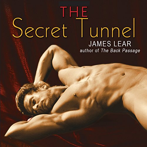Cover of The Secret Tunnel