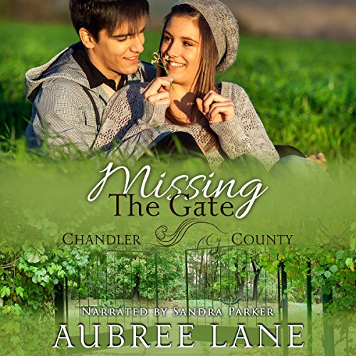 Cover of Missing the Gate