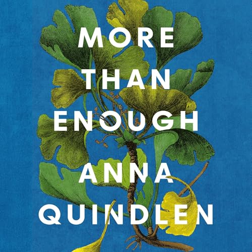 Cover of More Than Enough