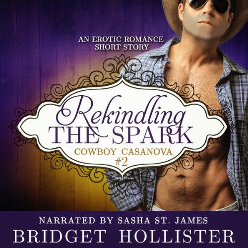 Cover of Rekindling the Spark