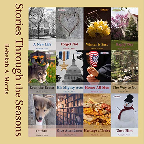 Cover of Stories Through the Seasons