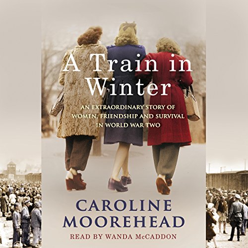 Cover of A Train in Winter