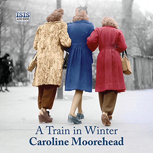Cover of A Train in Winter