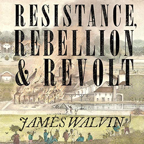 Cover of Resistance, Rebellion & Revolt