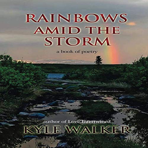 Cover of Rainbows Amid the Storm