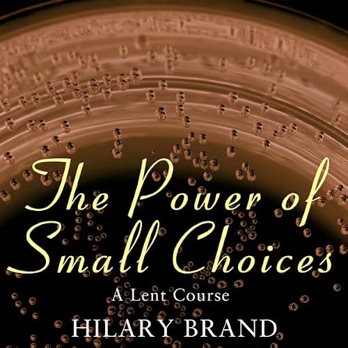 Cover of The Power of Small Choices