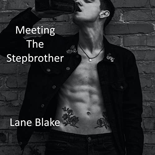 Cover of Meeting the Stepbrother