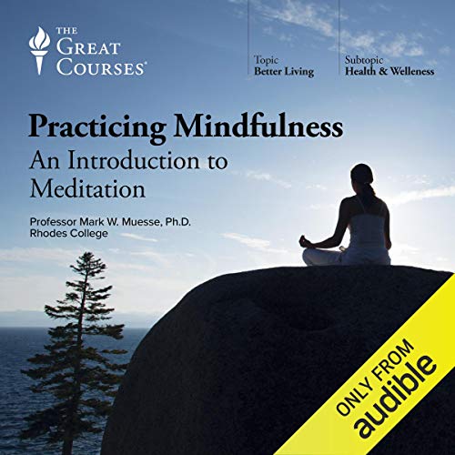 Cover of Practicing Mindfulness: An Introduction to Meditation