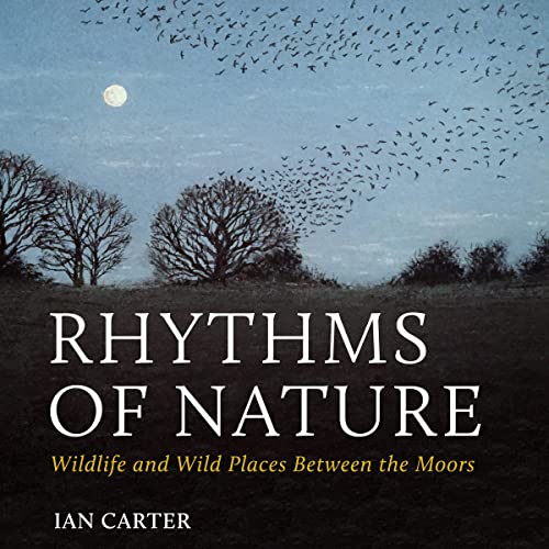 Cover of Rhythms of Nature