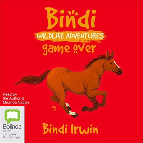 Cover of Game Over