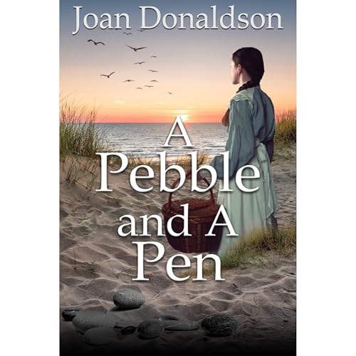 Cover of A Pebble and A Pen: revised edition