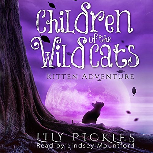 Cover of Kitten Adventure