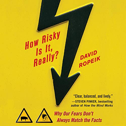 Cover of How Risky Is It, Really?