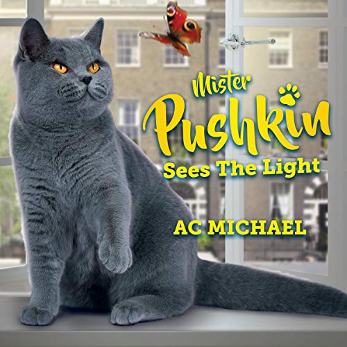Cover of Mister Pushkin Sees the Light: 12 Summery Tales
