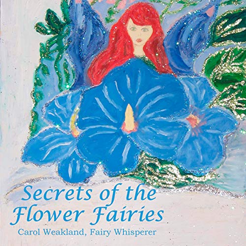 Cover of Secrets of the Flower Fairies