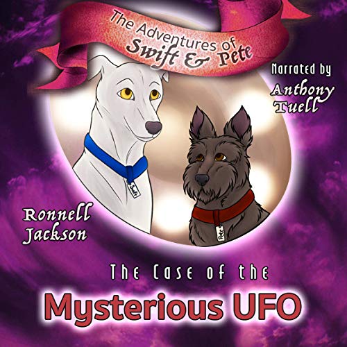 Cover of The Case of the Mysterious UFO