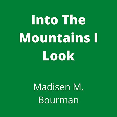 Cover of Into the Mountains I Look
