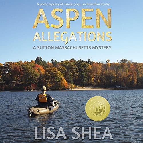 Cover of Aspen Allegations