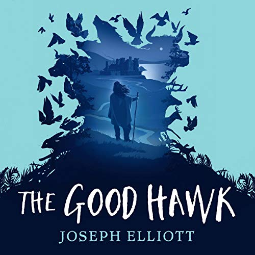 Cover of The Good Hawk