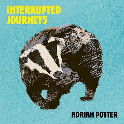 Cover of Interrupted Journeys
