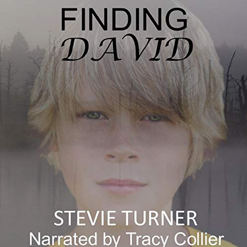 Cover of Finding David