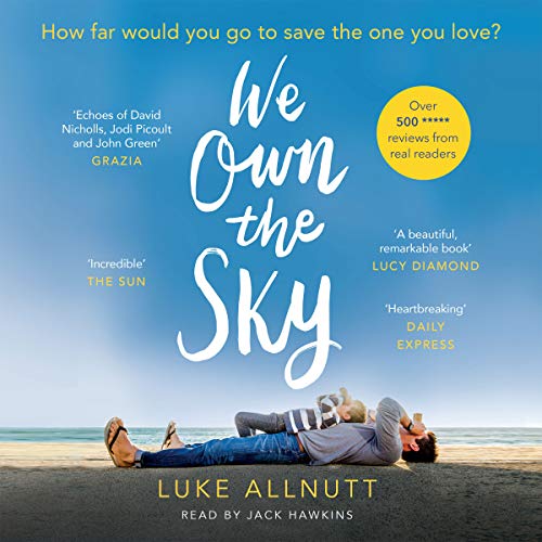 Cover of We Own the Sky