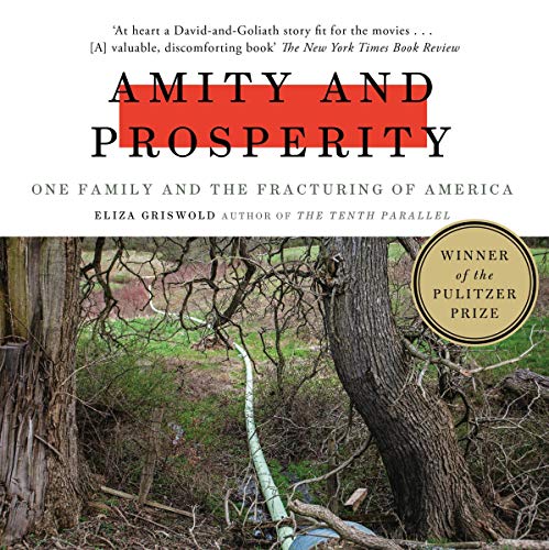 Cover of Amity and Prosperity