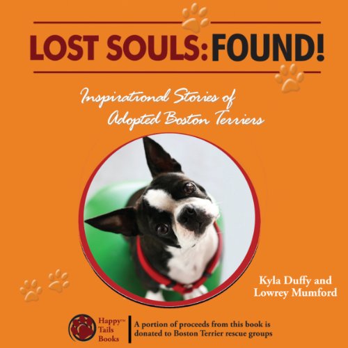 Cover of Lost Souls: FOUND!