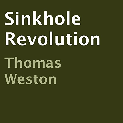 Cover of Sinkhole Revolution