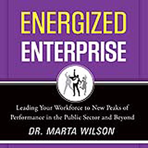 Cover of Energized Enterprise