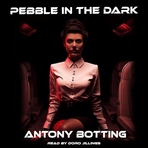 Cover of Pebble in the Dark