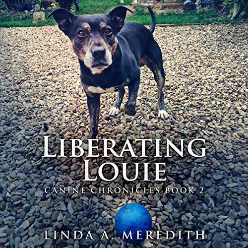 Cover of Liberating Louie