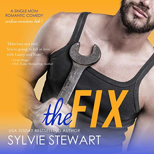 Cover of The Fix