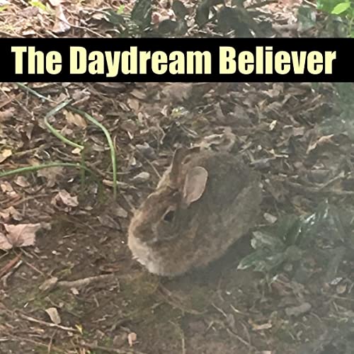 Cover of The Daydream Believer