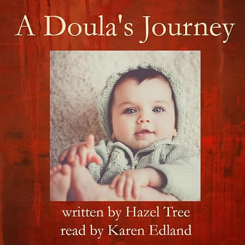 Cover of A Doula's Journey