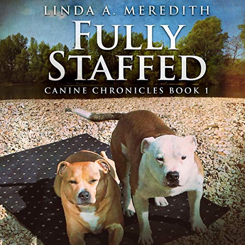 Cover of Fully Staffed