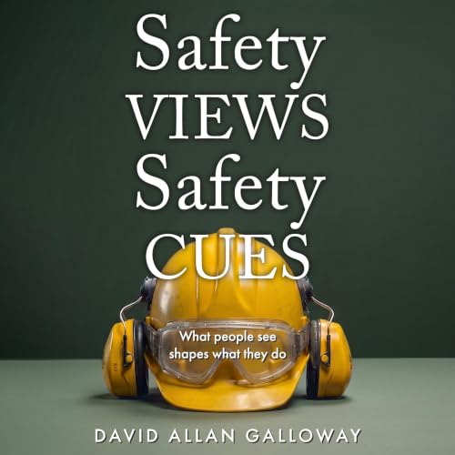 Cover of Safety Views Safety Cues