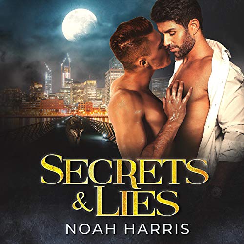 Cover of Secrets & Lies: A Love Without Judgment