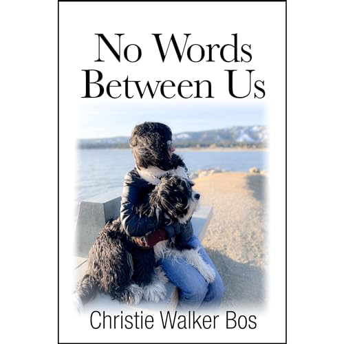 Cover of No Words Between Us