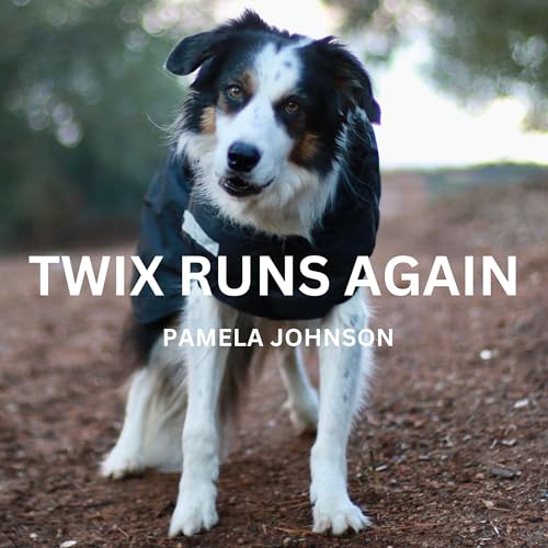 Cover of Twix Runs Again