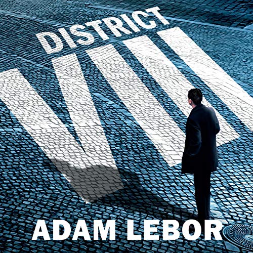 Cover of District VIII